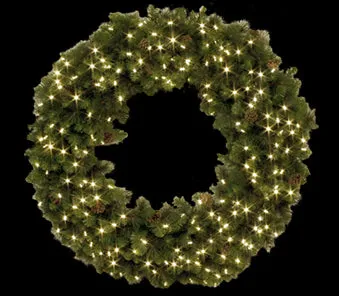 American Lighting 031-LED-WRB-48
