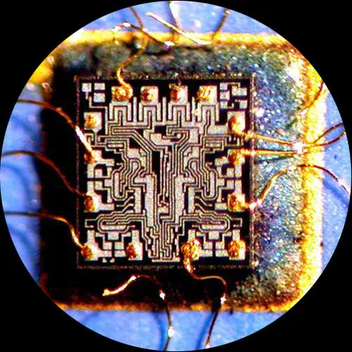 AmScope PM240 Series Zoom Trinocular Stereo Microscope 8X-80X Magnification on Track Stand with Common Main Objective(CMO) and 10MP Camera