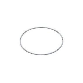 Laars Heating Systems A2117900 Gasket