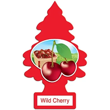 Little Trees Air Fresheners
