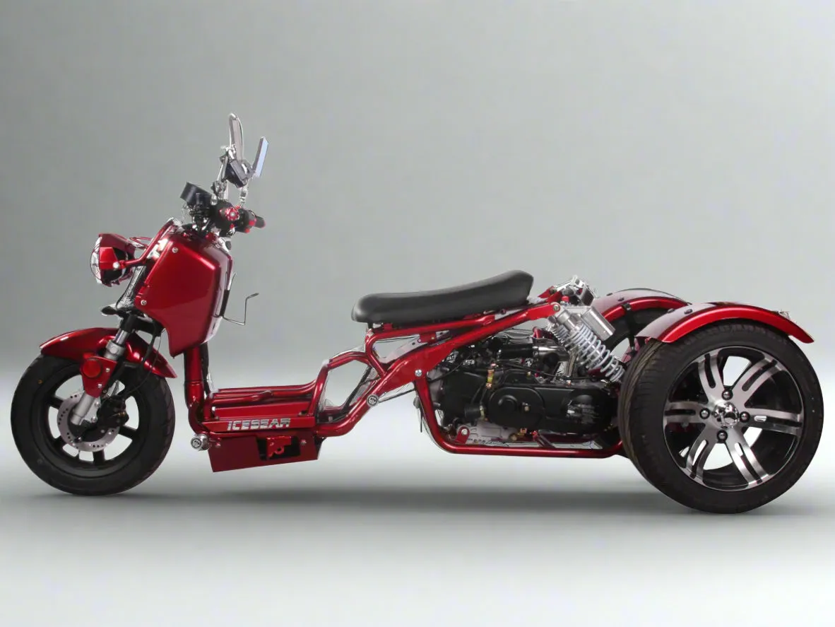 MADDOG Trike Scooter 150cc Automatic | IceBear | PST150-19N