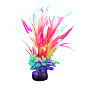 Marina IGlo Plants