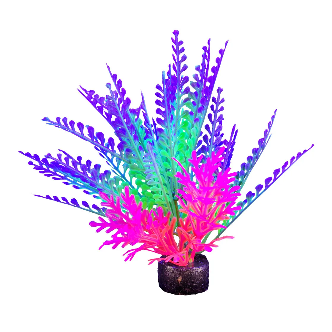 Marina IGlo Plants