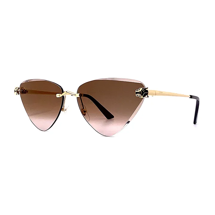 Metal Sunglass Gold With Brown - CCT0399S002