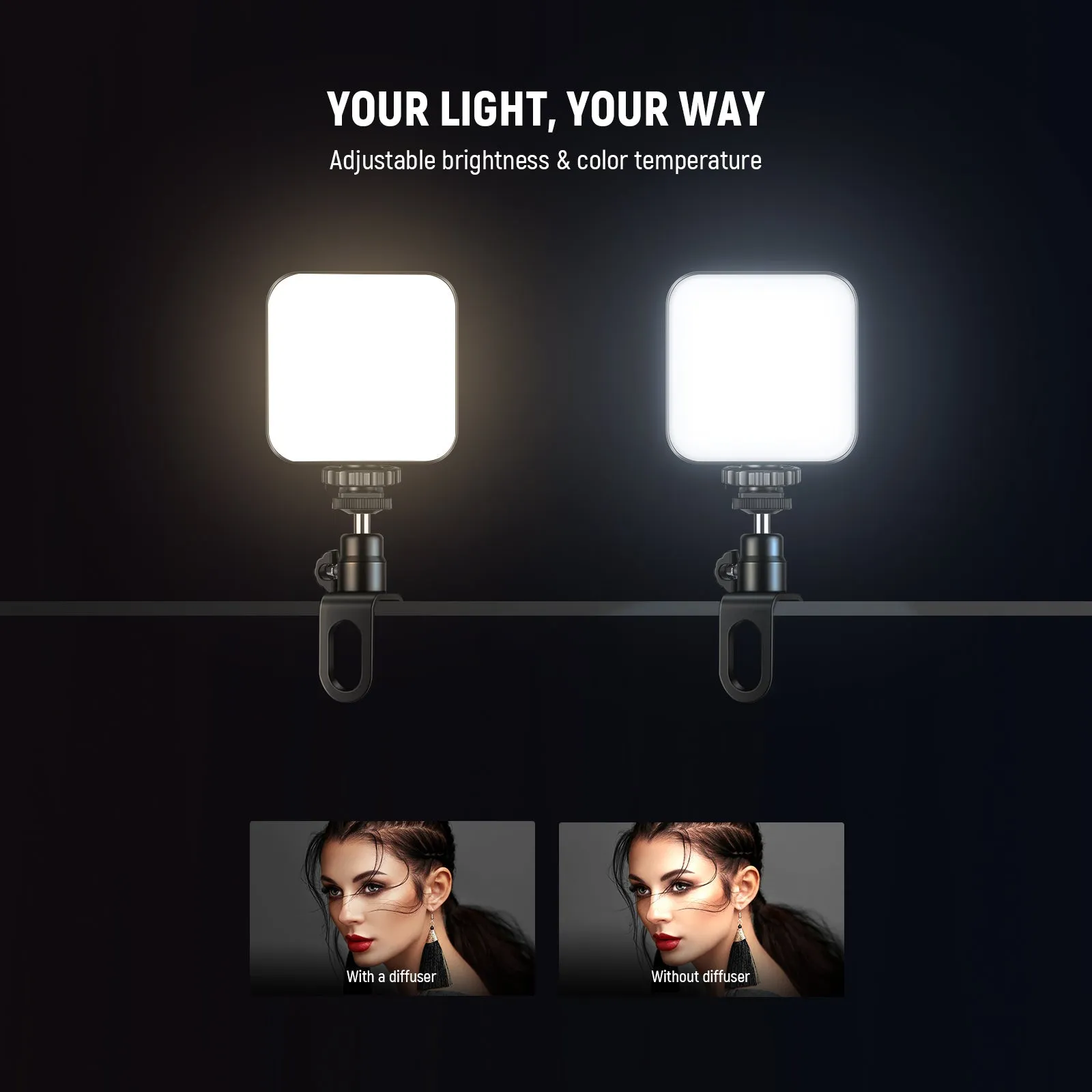 NEEWER PL81 Clip On Light Selfie Light for Phone/Laptop