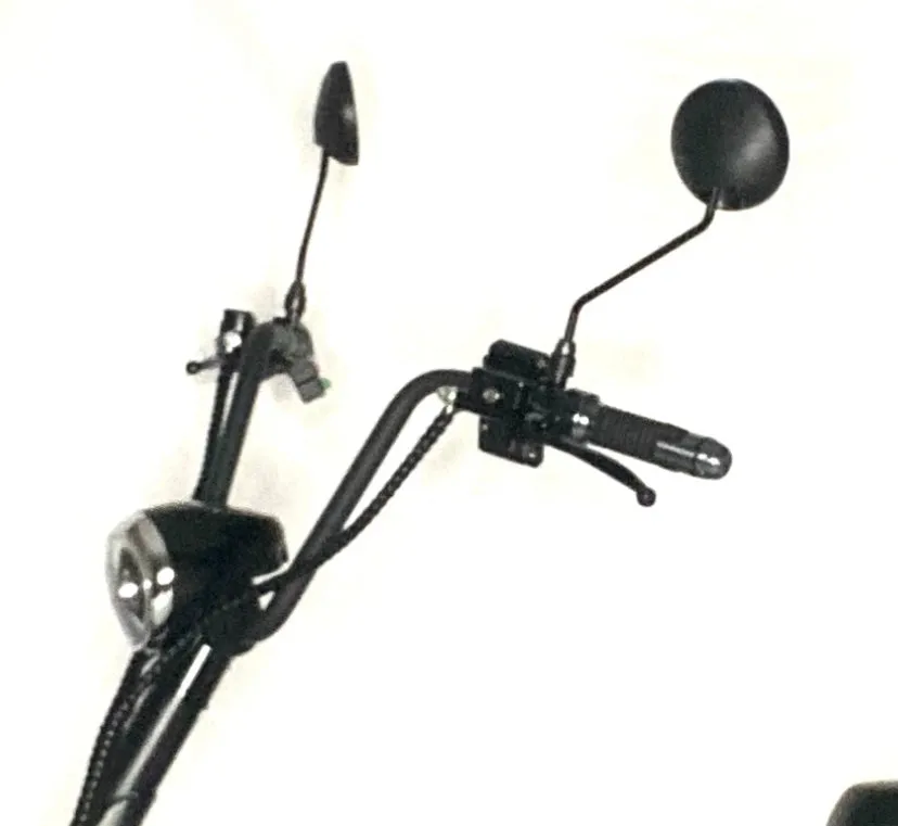 Rearview Mirrors (two in a set)